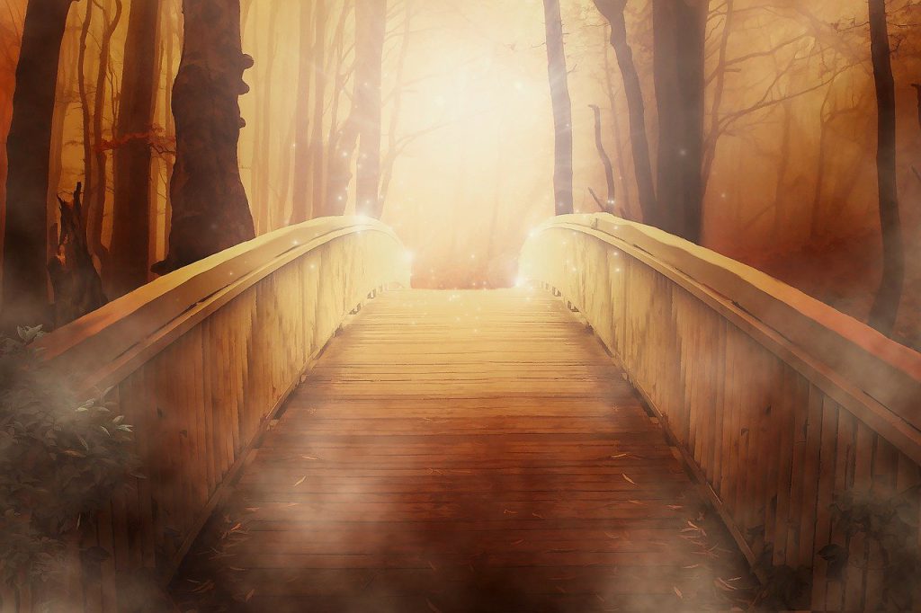 קצה גשר מואר ביער